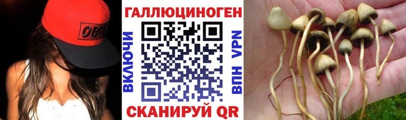 Псилоцибиновые грибы прущие грибы  KRAKEN ТОР  Сибай  как найти закладки 